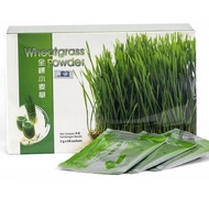 Wheatgrass Powder 2g X 66 sachets 全棵小麦草