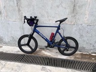 Tern surge 52cm blue