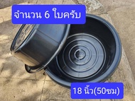 6ใบ  19นิ้วรวมขอบ  แข็งแรงทนทาน   กะละมัง   กะละมังพลาสติก    กะละมังเลี้ยงแหนแดง  กะละมังเลี้ยงสัตว