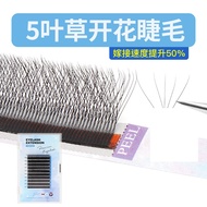 Five-leaf Clover Grafted Eyelashes 5d Flowering Clover yy Type Upgraded Version Beauty Eyelash Shop 