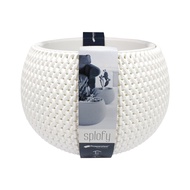 Prosperplast Gardening Splofy Bowl Basket Wave Flower Pot (290 x 190mm) (White/Sage/Peach/Mocca)