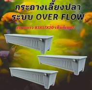 กระถางเลี้ยงปลา overflow กะบะเลี้ยงปลา อ่างเลี้ยงปลา อ่างเลี้ยงปลาเมกาดะ อ่างเลี้ยงปลาหางนกยูง อ่างเ