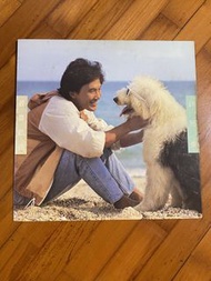 許冠傑黑膠唱片