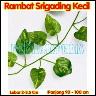 58jw Plastic Vines/Fake Vines/Synthetic Vines. Ob4p