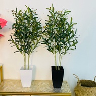 🔥POKOK OLIVE tree Dracena, Fiddle Fig Artificial Plant