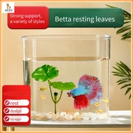 Fish tank landscaping/Fish and shrimp sleeping, resting, spawning leaves/Aquarium landscaping orname