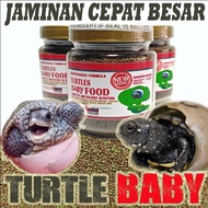 Makanan pakan anak bayi kura kura res brazil ast cst baby turtle food