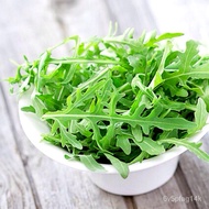 seeds400 Arugula Seeds ideal DIY Vegetable for Cooking Salad Free Shippingseeds QG4B