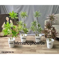 Fake tree - Phat Tai tree with 3 branches, 5 branches for interior home decoration, decorative fake 