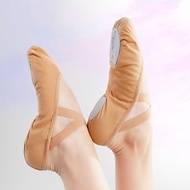Ballet Shoes Adult Canvas Dance Shoes Women Sneakers