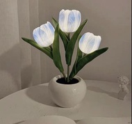 韓風 鬱金香燈 三色入 花花燈