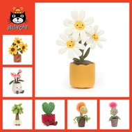 Uk Purchase Potted Plant Series Love Cactus Gift Orchid Sunflower Doll Toy Ornaments Daisy