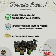 TERLARIS pembasmi rumput liar || beli 1 gratis 1 || racun rumput || obat mematikan rumput || ampuh 1