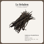 Planifolia Vanilla Bean / Vanilla Pod (Grade C/Split) 香草荚