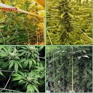 [tishita] Nylon Garden Trellis Netting for Tomatoes/Beans/Vines Plant 1.35 x 2.7m
