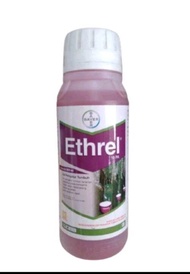 Ethrel 10 PA 500 ml