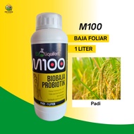 Baja M100 Baja Foliar Padi Baja Subur Padi Baja Probiotik Baja Baiki Struktur Tanah Baja Tingkat Has