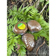 Sabun Poolangkilangu Versi Baru By Dj Herbs Untuk Mengurangkan Komedo Pigmentasi Kerut Pori Pori Kec