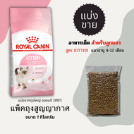 อาหารแมวแบ่งขาย Royal Canin Kitten อาหารเม็ด สำหรับลูกแมว ขนาดถุงล่ะ 1 กิโลกรัม