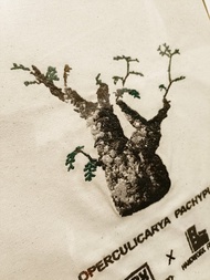 象足漆樹刺繡掛畫(可客制)