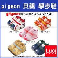 2018新款 pigeon 貝親 二階 學步鞋 初學 誕生 日本 出產 禮物 12cm~13.5cm LUCI日本代購