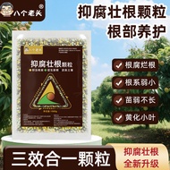Anti-Corrosion Strong Root Granules Prevent Roots Rotten Roots Green Roots Nourishing Roots Nourishi