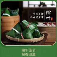 Ready Stock Ready Stock extra large fresh Rice Dumpling leaves 100 Pieces Natural Wild Rice Dumpling
