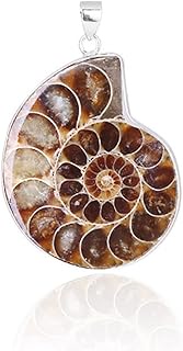 Natural Ammonite s Pendant Jewelry Silver Tone Ammonite s Stone Wrapped Pendant Necklace Fashion Jew