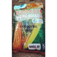 Benih Jagung Hibrida 5 Kg