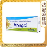 BOIRON - Arnigel 山金車紫青凝露 45g (平行進口 9534)