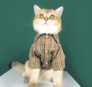 kitty summer clothes thin section blue cat British short hair loss prevention pet dog Teddy plaid shirt
