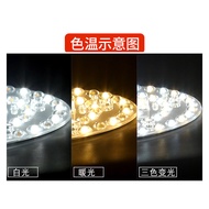 Tyk 220v 8. led Ceiling Lamp Wick Replacement Magnetic Lamp Bar Lamp Plate Lamp Tube Living Room Mod