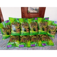 bibit padi inpari 32 dan 42 jumbo bvxuof 2872ct