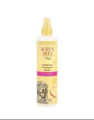 Burt's bees waterless shampoo