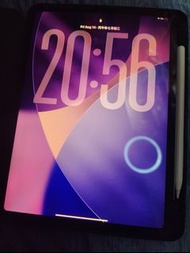 [睇description] 香港行貨 APPLE IPAD pro 11 inch 4th generation M2 256G