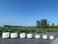 6"-12"  440hz/432hz Tuned cdefgab Bowl Note Chakra White Crystal Singing Bowl For Healing