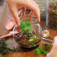 體驗 高雄鹽埕【裡外之間】玻璃生態瓶・微景觀植物課程