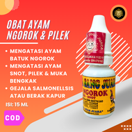 OBAT AYAM NGOROK PARAH PILEK SNOT OBAT NGOROK AYAM BANGKOK AMPUH