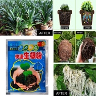 Fast Rooting Powder Rooting Plant Flower Plant Growth Regulator For Seedling Bonsai Tree Cutting Fungicide Fertilizer Garden