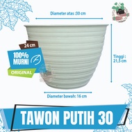 Pot Tawon Putih Ukuran 30 Pot Tanaman Hias Minimalis Budi Jaya Asli Pot Tawon Tanaman Bunga Putih Po
