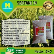 READY Benih Padi Sertani 14 Bibit Padi 5 kg
