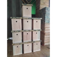 hive kelulut/stingless bee