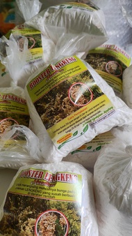 (ZAK 25 KG) pupuk booster kelengkeng KC|o3 nusantara solusi pohon kelengkeng sulit berbuah