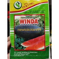 Benih semangka WINDA 20 gram semangka inul hibrida winda f1 20gr dari benih pertiwi