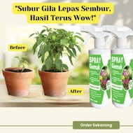 Baja Siap Bancuh Spray Baja Gemuk Organik Subur Pokok Hiasan Tanaman Organik Organic Fertilizer Baja