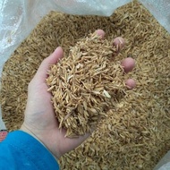 Rice Hull/IPA 1Kilo