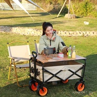 Outdoor Trolley Trolley Trolley Camping Trolley Foldable Stall Night Market Picnic Universal Trolley
