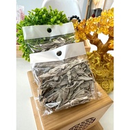 White Sage White Sage White Sage | Trial Packaging