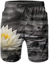 0 Nano Hone Nano Hone Plate 100 Micron