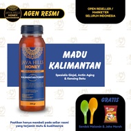Kalimantan Honey Javahills Java Hills Honey Premium Raw Treats Kidney Stones